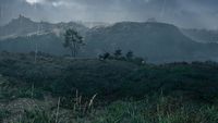 bilder/galerie/valhallazorn/Assassins Creed Valhalla__ (12).jpeg